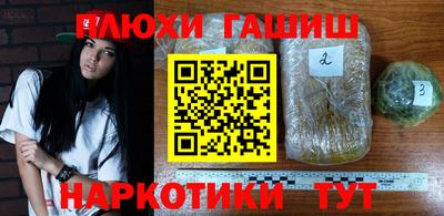 прущие грибы Можга