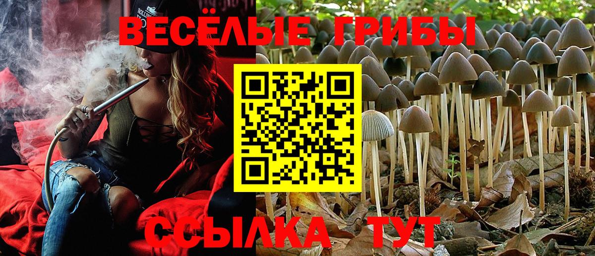Галлюциногенные грибы прущие грибы Сочи