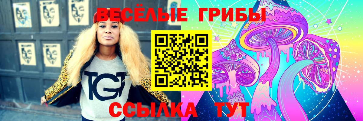 Псилоцибиновые грибы прущие грибы  Вход с VPN  Сочи 
